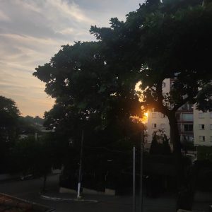 Vista